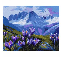 Картина за номерами SANTI Гірські квіти 40*50 (954813)