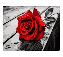 Картина за номерами Червона троянда 30х40 см Strateg (SS1143)