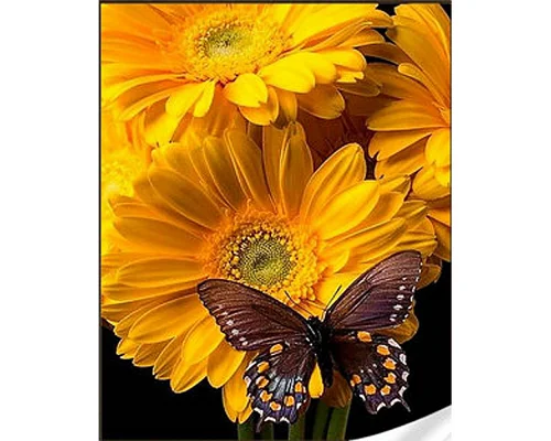Алмазна мозаїка Strateg Метелик на соняшнику розміром 30х40 см (HEG86117)