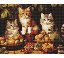 Алмазна мозаїка - Котики і фрукти (AMO7940)