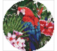 Круглая алмазная мозаика Яркий попугай Диаметр 19 Ideyka (AM-R7918)