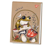 Альбом для рисования А4 40 листов склейка белила Frog крафт YES (130583)