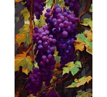 Картина за номерами з алмазною мозаїкою Гроно винограду 40*50 см. Santi (954879)