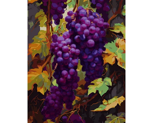 Картина по номерам с алмазной мозаикой Гроздь винограда 40*50 см. Santi (954879)