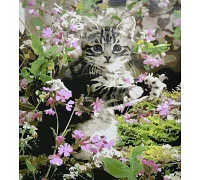 Картина за номерами Кошеня в квіточках 40х30 см Strateg (SS6461)