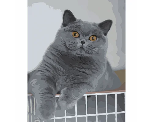 Картина за номерами Цікавий котик 40х50 см Strateg: SY6450