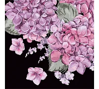 Картина за номерами Цвітіння гортензій на чорному фоні розміром 40х40 см Strateg: (AV4040-29)