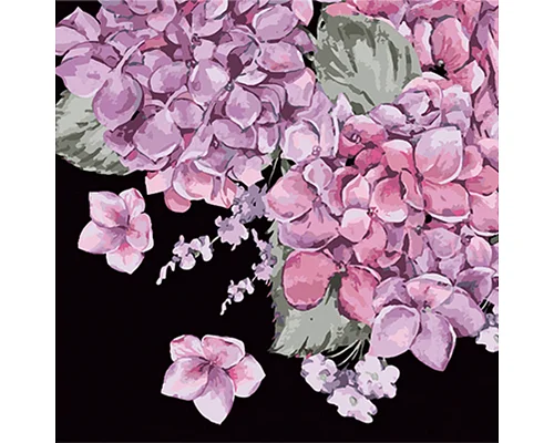 Картина за номерами Цвітіння гортензій на чорному фоні розміром 40х40 см Strateg: (AV4040-29)