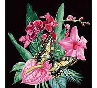 Картина за номерами Розкіш квітів на чорному фоні розміром 40х40 см Strateg: (AV4040-32)