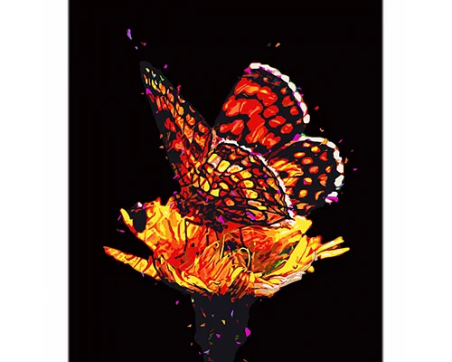 Картина за номерами Вогняний метелик на цвіті на чорному фоні розміром 40х50 см Strateg: (AH1098)