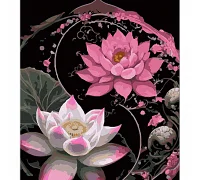 Картина за номерами Цвітіння лотоса на чорному фоні розміром 40х50 см Strateg: (AH1113)