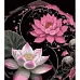 Картина за номерами Цвітіння лотоса на чорному фоні розміром 40х50 см Strateg: (AH1113)