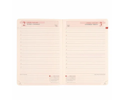 Ежедневник А5 Leo Planner датированный 2025 Abisso 368 стр (252577)