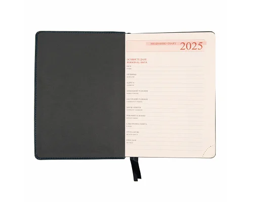 Ежедневник А5 Leo Planner датированный 2025 Case темный изумруд 368 стр (252520)