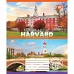 Зошит шкільний University 48 аркушів лінія YES (766738)