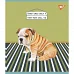 Зошит Dogs 12 аркушів лінія YES (766804)