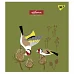 Зошит Avifauna 24 аркушів лінія YES (766848)