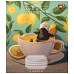 Зошит шкільний Animal art А5 48 аркушів лінія YES (767122)
