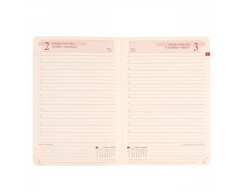 Ежедневник 12х20cм Leo Planner датированный 2025 Monaco розовый 352 стр (252506)