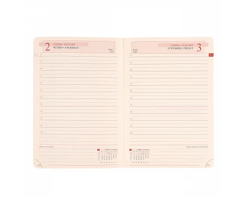 Ежедневник А5 Leo Planner датированный 2025 Boss хаки 368 стр (252515)