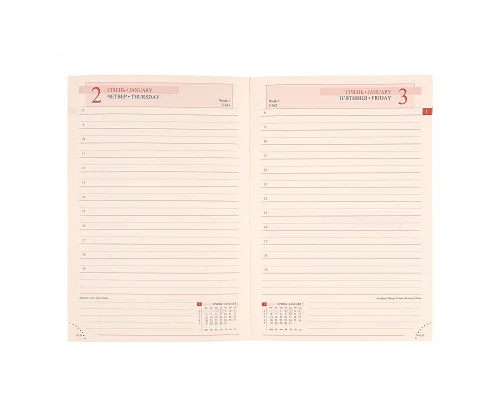 Ежедневник А5 Leo Planner датированный 2025 Velvet черный 368 стр (252522)