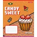 Зошит шкільний 1B Candy sweet А5 12 аркушів лінія 1 Вересня (767217)