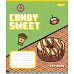 Зошит шкільний 1B Candy sweet А5 12 аркушів лінія 1 Вересня (767217)