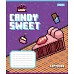 Зошит шкільний 1B Candy sweet А5 12 аркушів лінія 1 Вересня (767217)