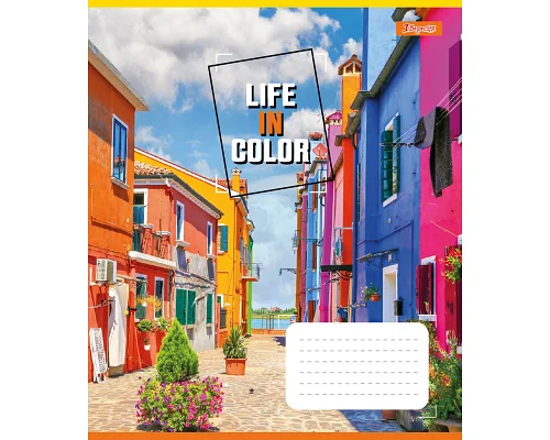 Зошит шкільний 1B Life in colors А5 24 аркушів клітинка 1 Вересня (767279)