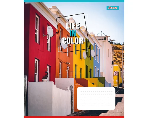 Зошит шкільний 1B Life in colors А5 24 аркушів клітинка 1 Вересня (767279)