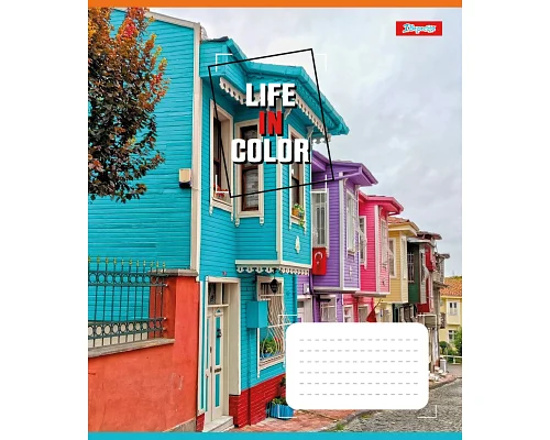 Зошит шкільний 1В Life in colors А5 36 аркушів клітинка 1 Вересня (767326)