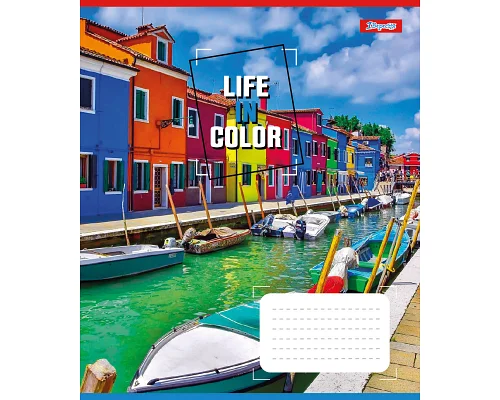 Зошит шкільний 1В Life in colors А5 36 аркушів клітинка 1 Вересня (767326)