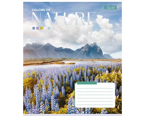 Зошит шкільний 1В Colors of nature А5 48 аркушів клітинка 1 Вересня (767359)