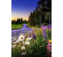 Алмазна мозаїка Квіткова стежка 40*50см ТМ Dreamtoys (S40005)