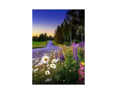 Алмазна мозаїка Квіткова стежка 40*50см ТМ Dreamtoys (S40005)