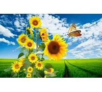 Алмазна мозаїка Сонячні квіти і метелик 30*40см ТМ Dreamtoys (S20041)