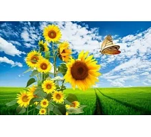 Алмазна мозаїка Сонячні квіти і метелик 30*40см ТМ Dreamtoys (S20041)