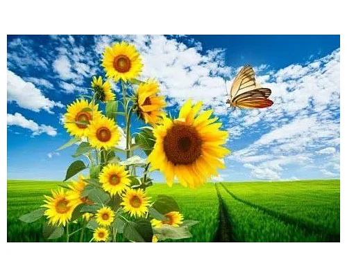 Алмазна мозаїка Сонячні квіти і метелик 30*40см ТМ Dreamtoys (S20041)
