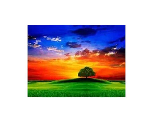Алмазна мозаїка Самотнє дерево на заході без підрамника, 30*40см, ТМ Dreamtoys (S30012)