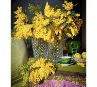 Алмазна мозаїка Мімоза на столі без підрамника, 30*40см, ТМ Dreamtoys (S30055)