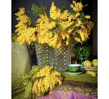 Алмазна мозаїка Мімоза на столі без підрамника, 30*40см, ТМ Dreamtoys (S30055)