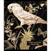 Зошит Wild and free 48 аркушів лінія YES (766891)