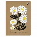 Зошит для записів Flowers 48 А4 аркушів клітинка крафт YES (681997)
