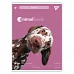 Зошит для записів Animalbook 48 А4 аркушів клітинка YES (682002)