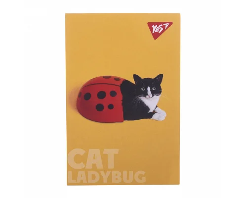 Блокнот А7 Catstyle 48 листов клетка YES (152099)