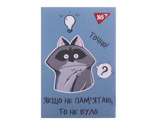 Блокнот А7 Smart raccoon 48 аркушів клітинка YES (152107)