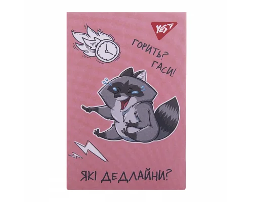 Блокнот А7 Smart raccoon 48 аркушів клітинка YES (152107)
