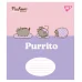 Зошит учнівський шкільний Pusheen The Cat А5 18 аркушів клітинка YES (767615)
