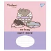 Зошит учнівський шкільний Pusheen The Cat А5 18 аркушів лінія YES (767616)