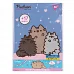 Набір розмальовок А4 Pusheen 4штуки YES (743314)